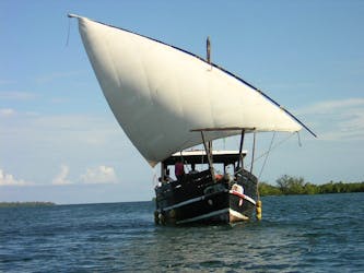 Funzi en Kinazini eilanden dhow boottocht
